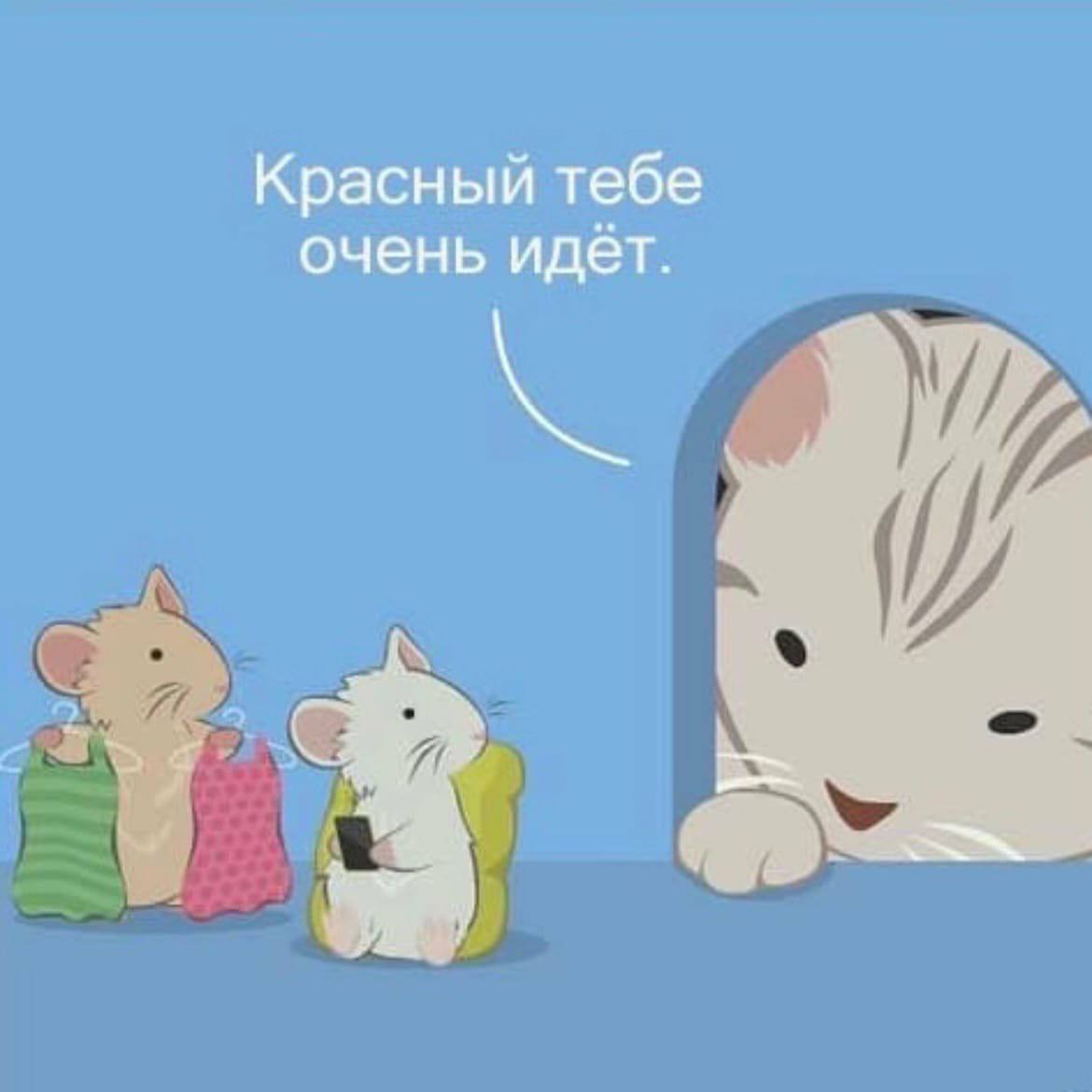 Красный тебе очень идёт.