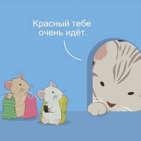 Красный тебе очень идёт.