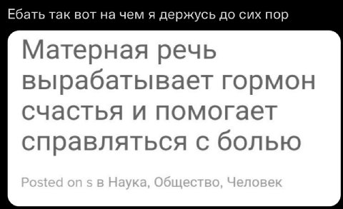 Ебать так вот на чем я держусь до сих пор Матерная речь вырабатывает гормон счастья и помогает справляться с болью