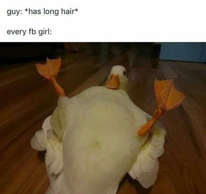 guy: *has long hair* every girl: