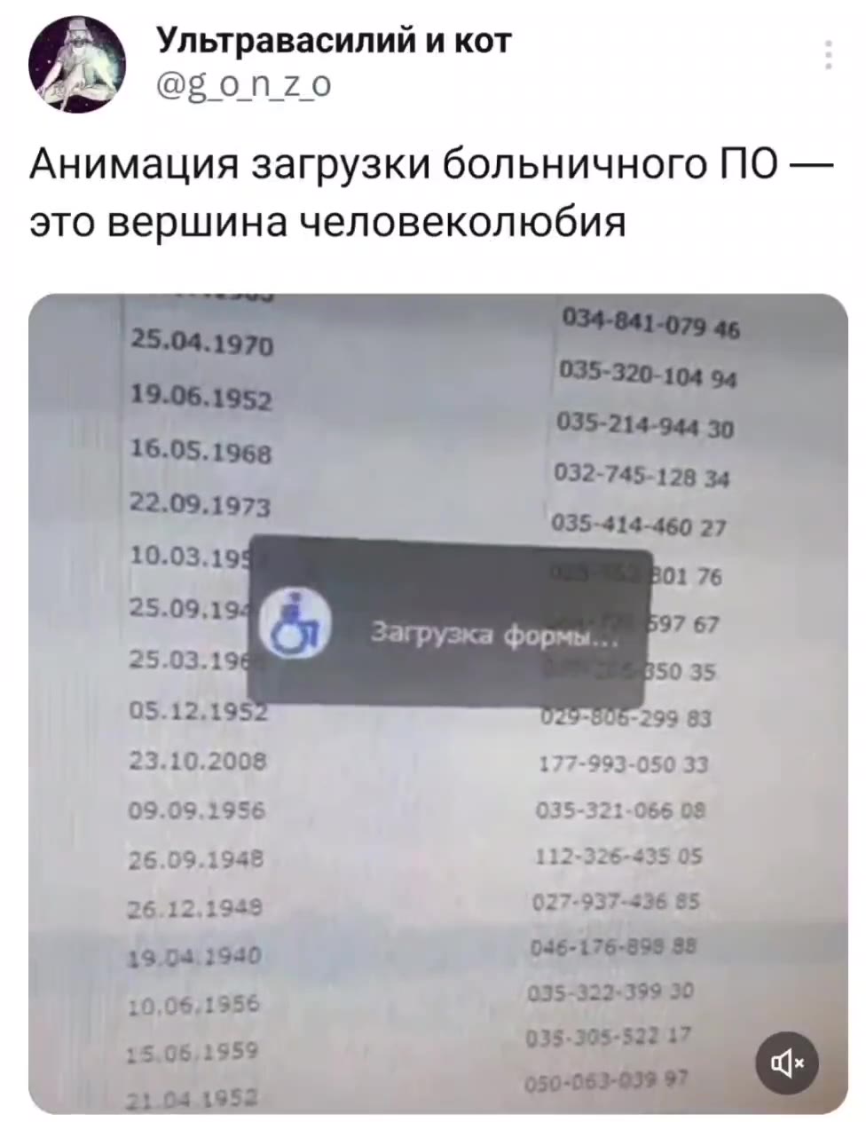 Ультравасилий и кот Анимация загрузки больничного ПО — это вершина человеколюбия