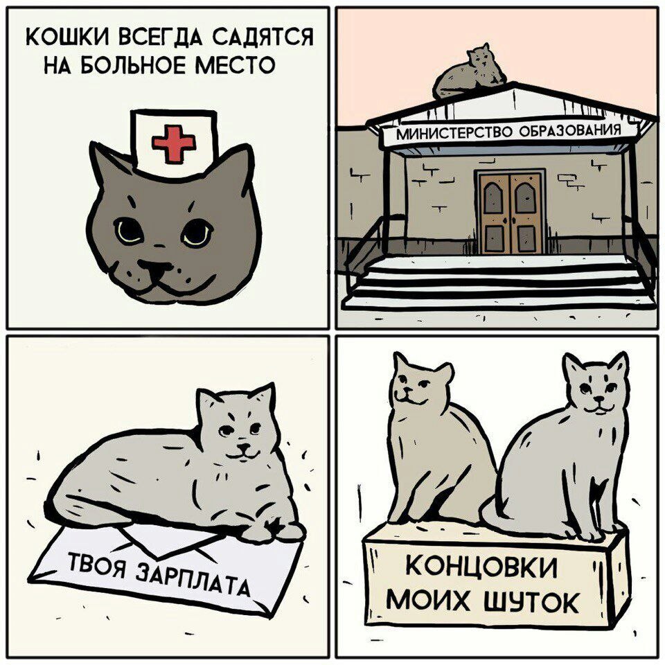 КОШКИ ВСЕГДА САДЯТСЯ НА БОЛЬНОЕ МЕСТО ОБРАЗОВАНИЯ АТА