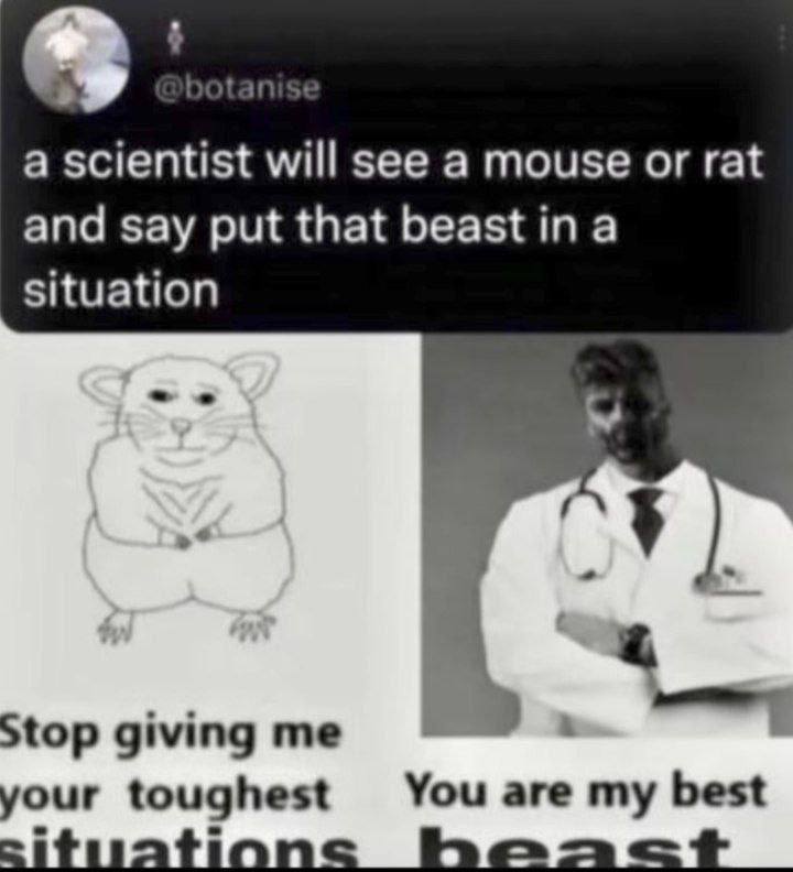 a scientist will see a mouse or rat and say put that а situation Stop giving You are my best your toughest