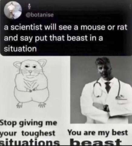 a scientist will see a mouse or rat and say put that а situation Stop giving You are my best your toughest