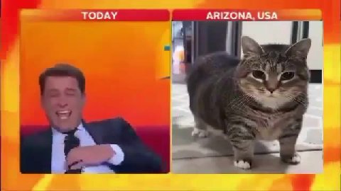 TODAY | ARIZONA, USA