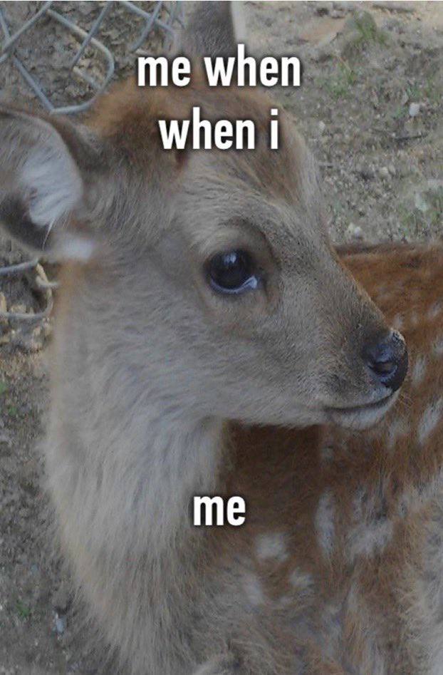me when when me