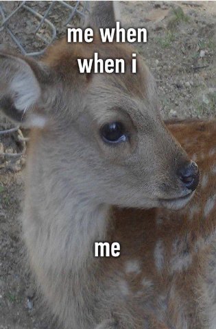 me when when me