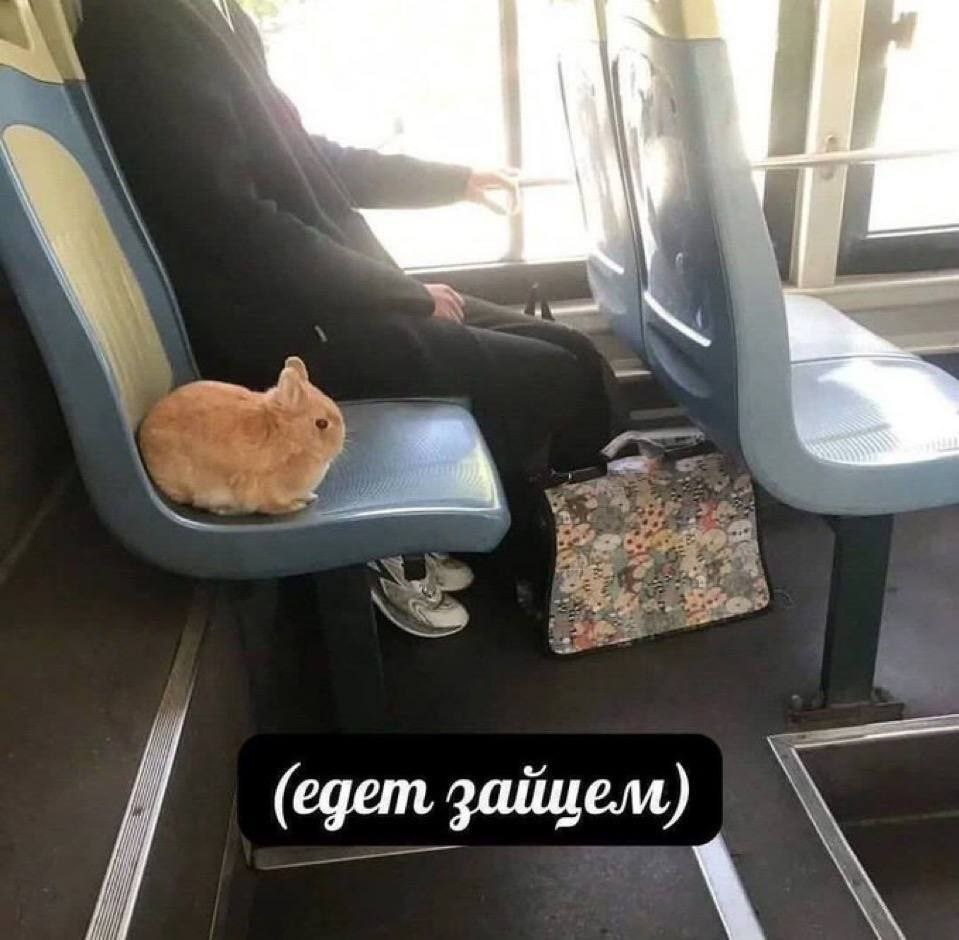 gem зайцем)