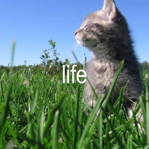 4 Я ife у А у. 4 у 1 4
