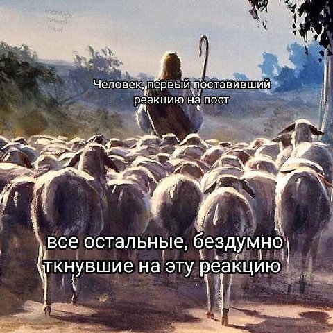 2. a Человек, пёрвый. поставивший реакцию на пост 11 me 4 ‚все остальные, бездумно кнувшие на эту