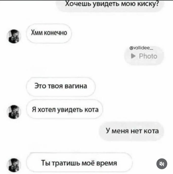 Хочешь увидеть мою киску? Хмм конечно 6vallidee_ Photo Это твоя вагина Я хотел увидеть кота У меня нет кота Ты тратишь моё время