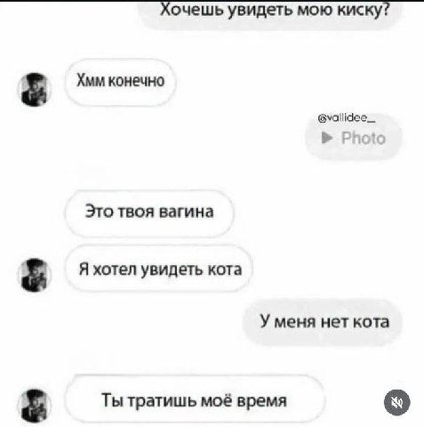 Хочешь увидеть мою киску? Хмм конечно 6vallidee_ Photo Это твоя вагина Я хотел увидеть кота У меня нет кота Ты тратишь моё время