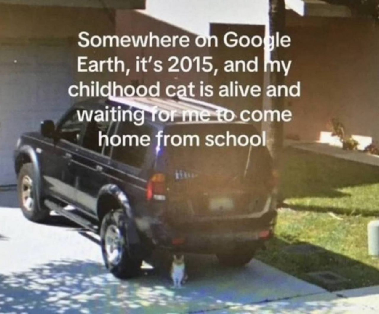 Зоте where Google Earth, it’s 2015, and my chil tis alive and waitin ‚соте home from