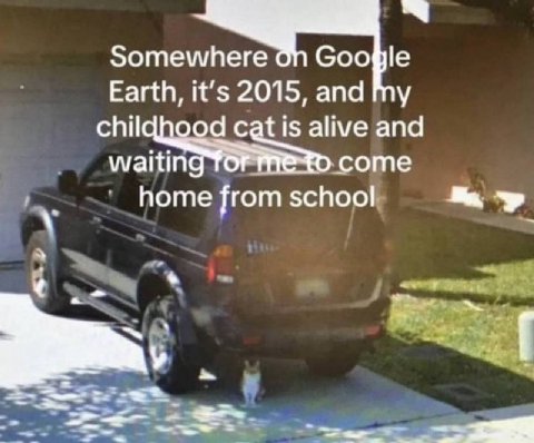 Зоте where Google Earth, it’s 2015, and my chil tis alive and waitin ‚соте home from