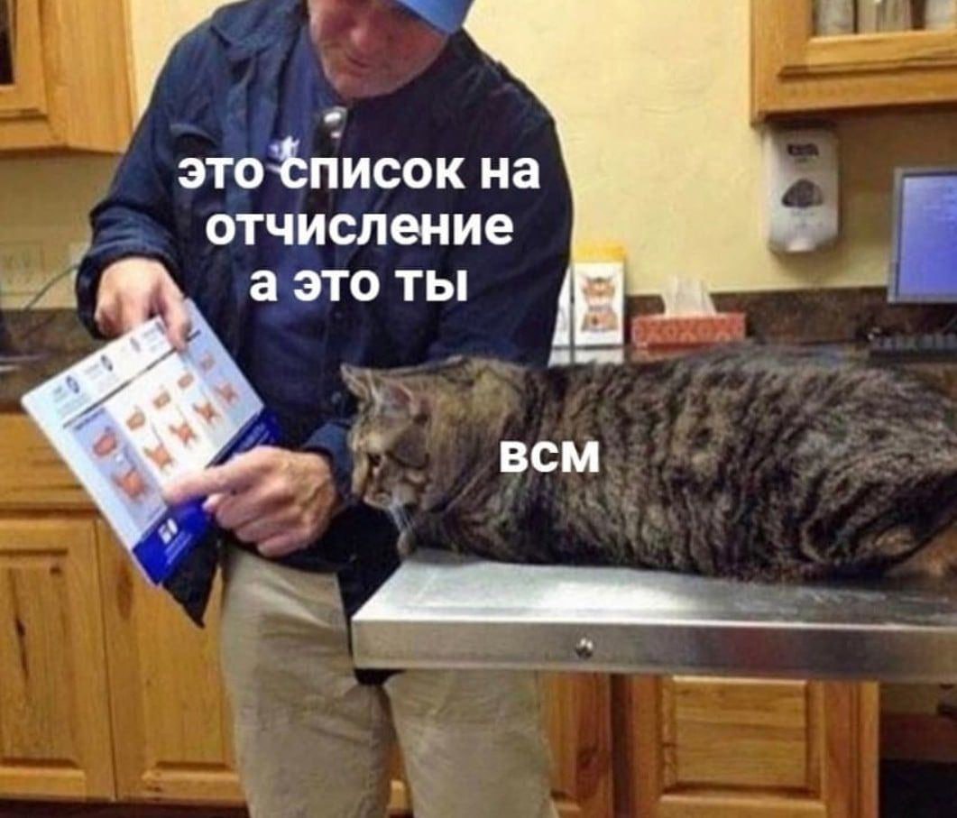 это список отчисление а это ты BCM