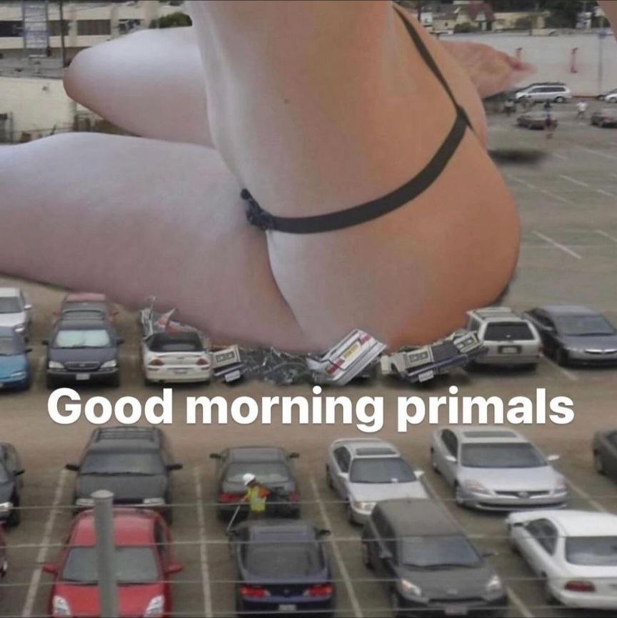 Good morning primals