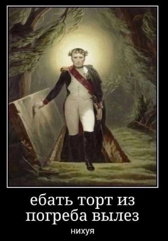 ебать торт из погреба вылез нихуя