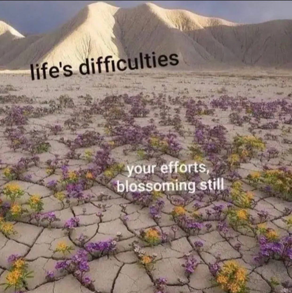 your efforts, blossoming still