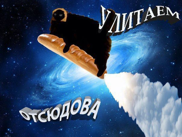 Wit