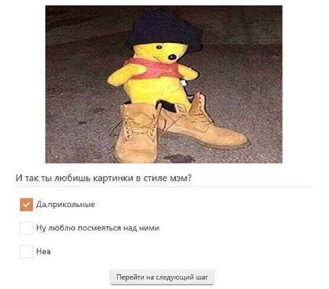 И так ты любишь картинки в стиле мэм? Да,прикольные Ну люблю посмеяться над ними Неа Перейти на следующий шаг
