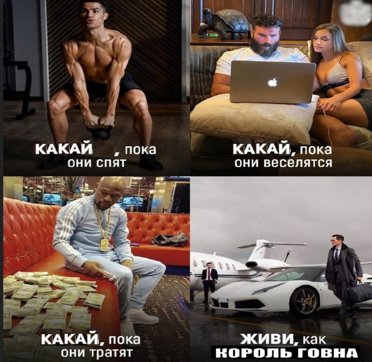 3 a Я КАКАЙ пока КАКАЙ, пока они спят они веселятся 3 КАКАЙ, пока ЖИВИ, как они тратят КОРОЛЬ ГОВНА