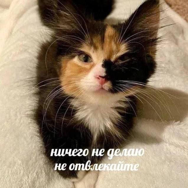 ничего не не
