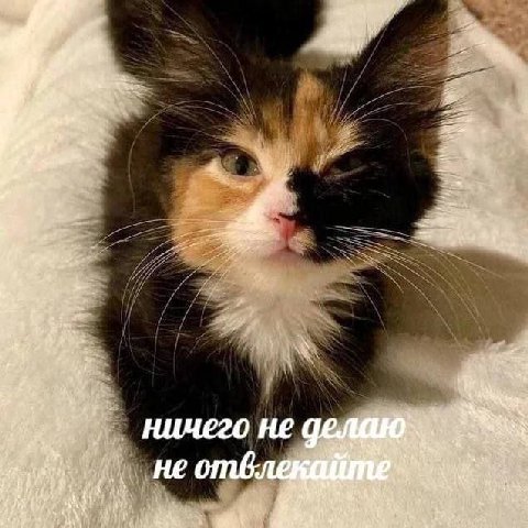 ничего не не