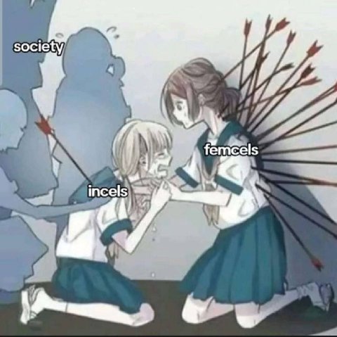 society, Mey 4 incels