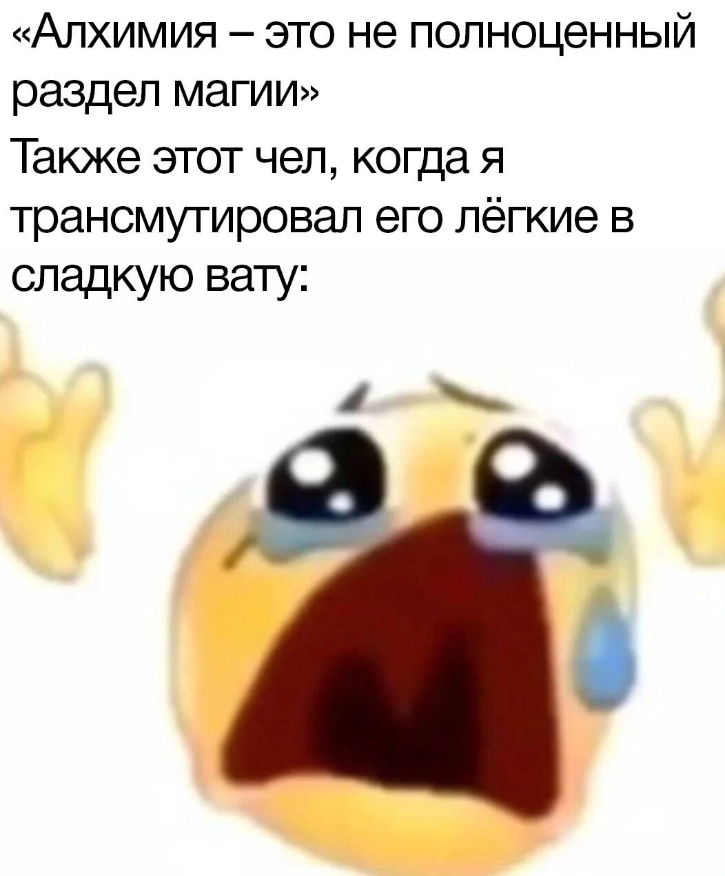 «Алхимия это не полноценный раздел магии» Также этот чел, когда я трансмутировал его лёгкие в сладкую вату: