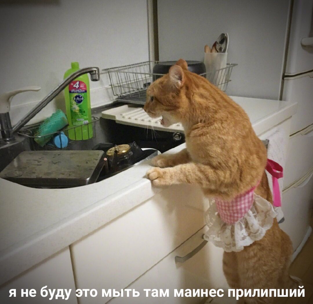 я не буду это мыть там маинес прилипший