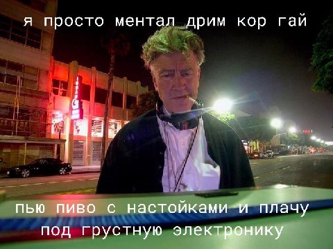 просто ментал дрим кор гай 14 we пью пиво с настойками и плачу под грустную электвонику