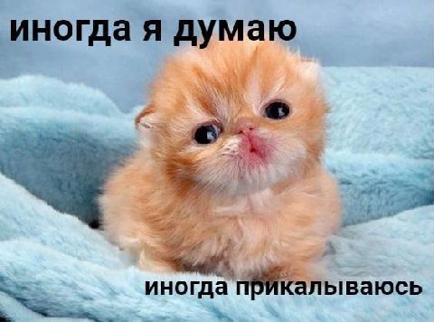иногда я думаю ываюсь иногда пВИкал