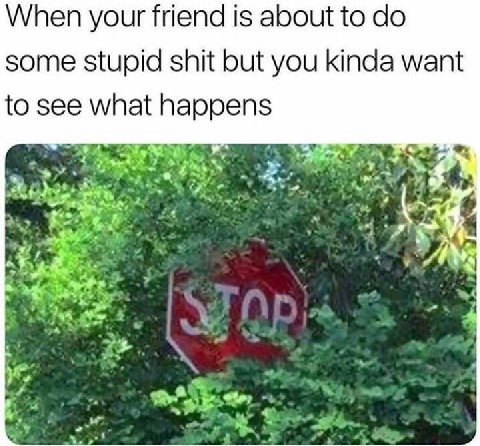 When your friend is about to some stupid shit but you kinda want to see what happens 4 a у