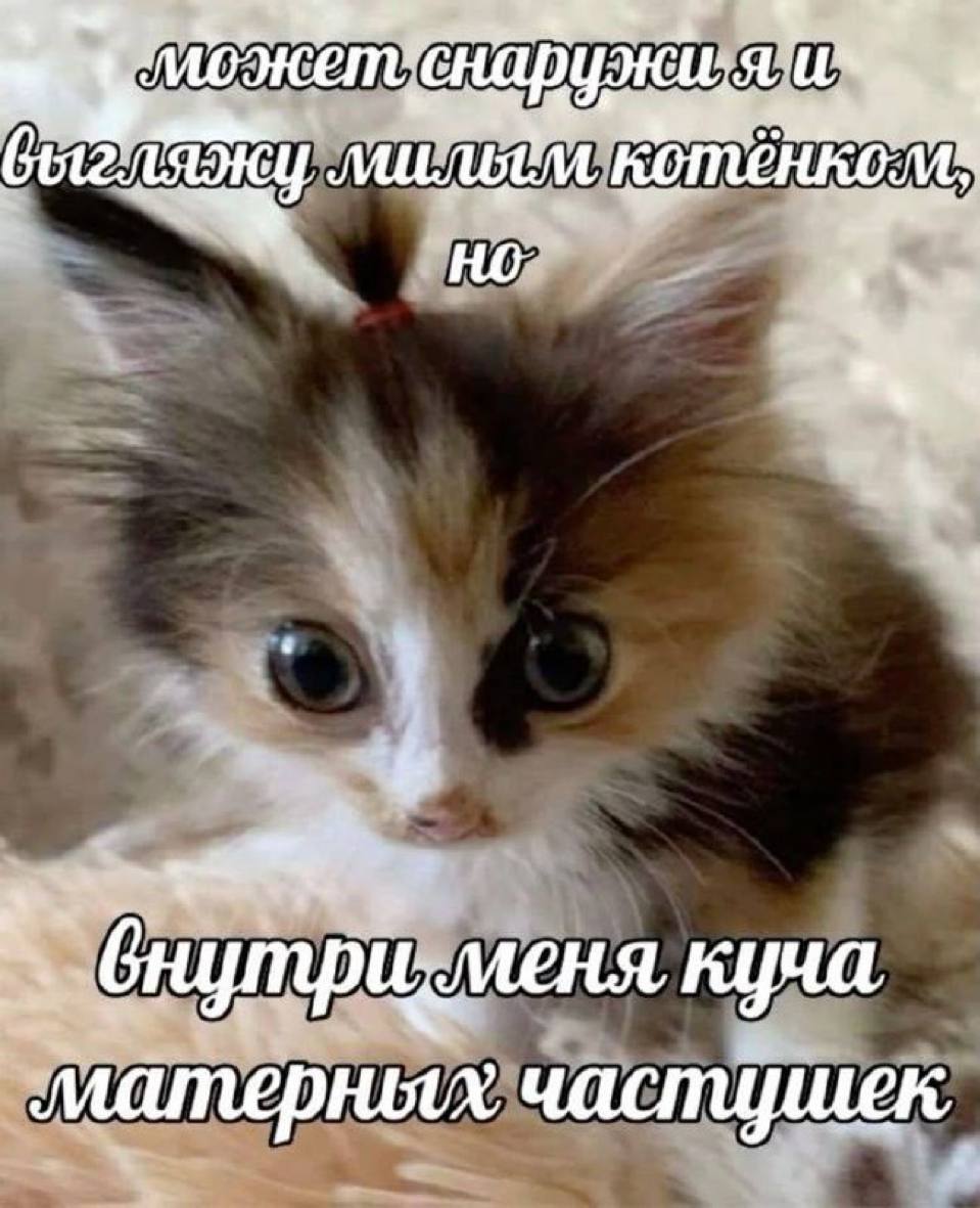 цуменя куча матерных частушек