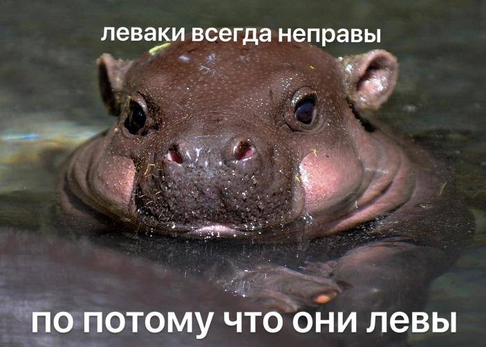 friendly reminder