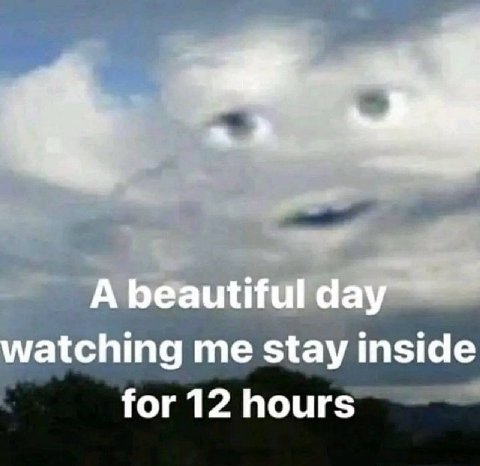 A beautiful day watching me stay inside for 12 hours