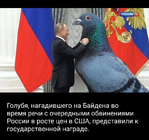 ‚РОССИЯ А Голубя, нагадившего на Байдена во время речи с очередными обвинениями России в росте цен в США, представили к государственной награде.