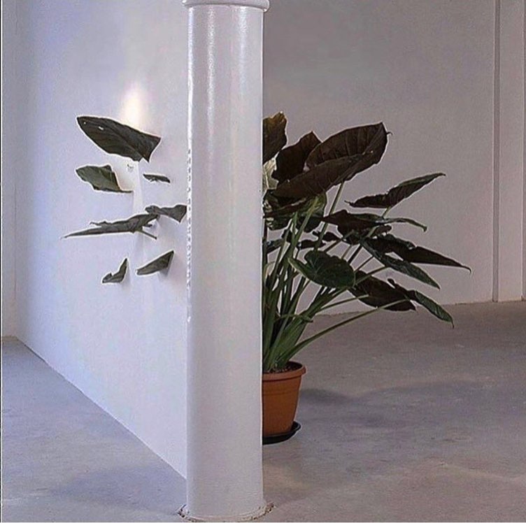 и я „5 7 и 4, 4 at