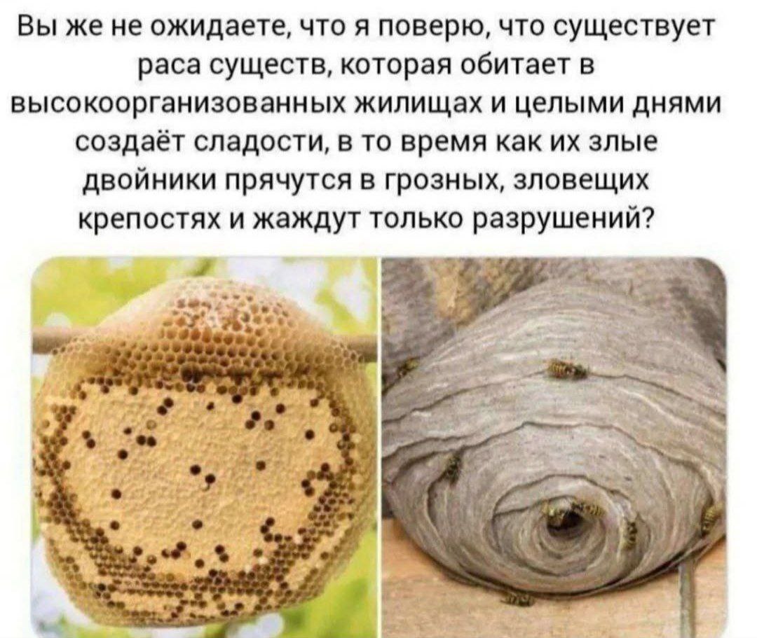 Вы же не ожидаете, что я поверю, что существует раса существ, которая обитает в высокоорганизованных жилищах и целыми днями создаёт сладости, в то время как злые двойники прячутся в грозных, зловещих 