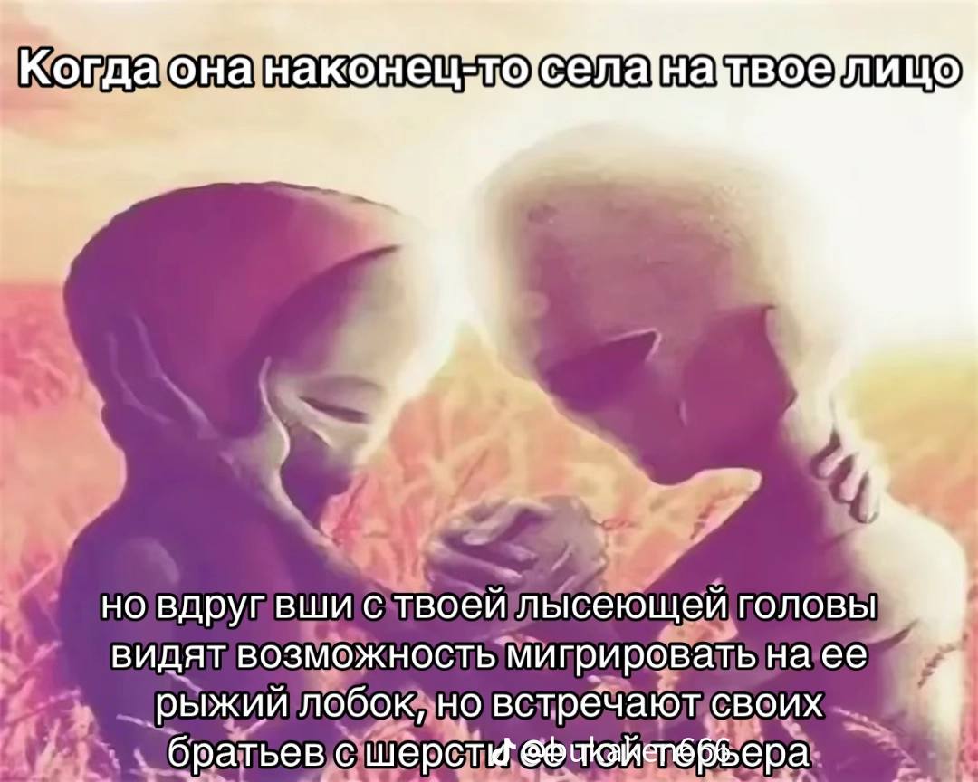 Когда 4 новдрупвшис твоей лысеющей головы видят возможность мигрировать Hace братьев