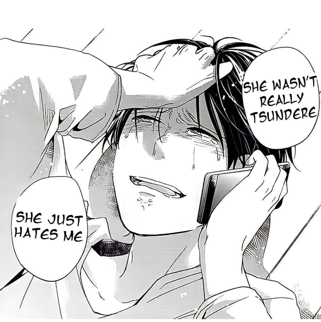 WASN'T РЕАЛУ SHE HATES
