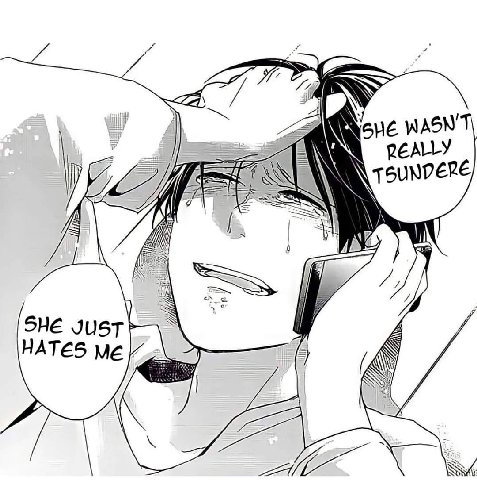 WASN'T РЕАЛУ SHE HATES