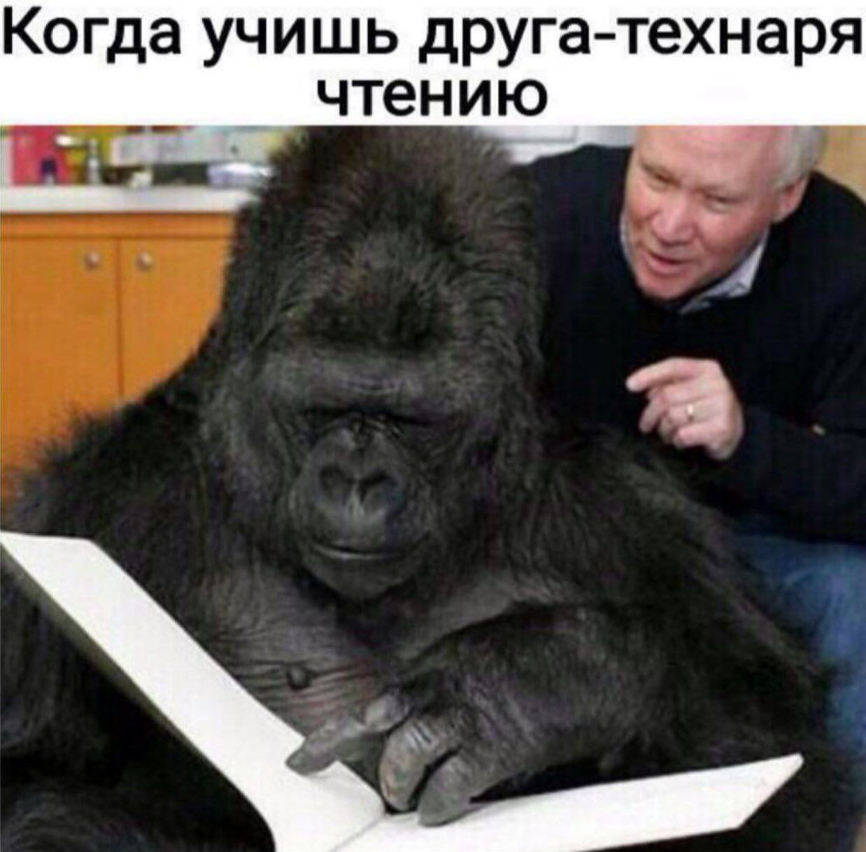 Когда учишь друга-технаря чтению
