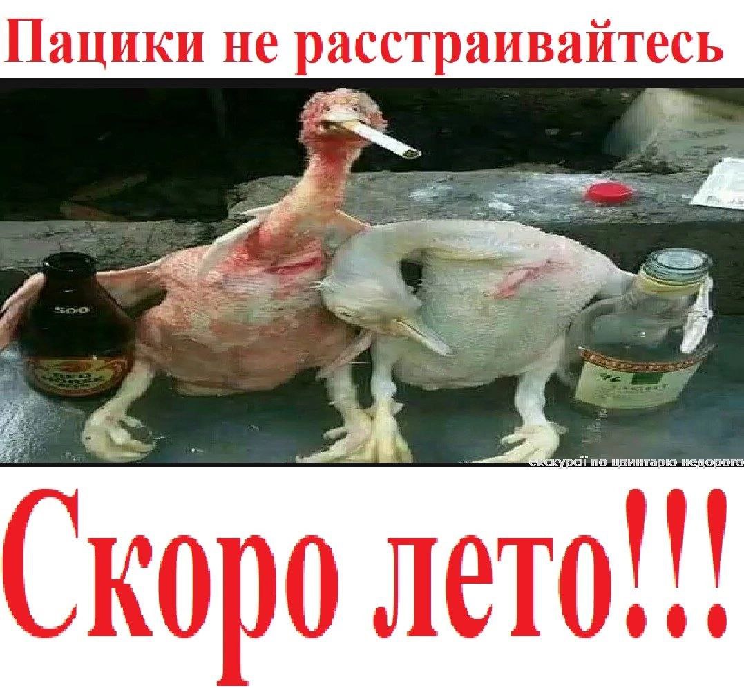 Пацики не расстраивайтесь 8 Скоро лето!!!