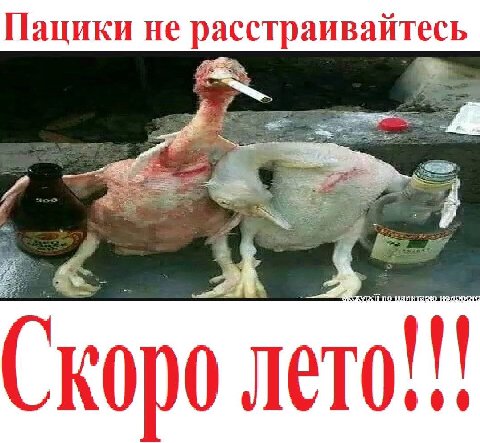 Пацики не расстраивайтесь 8 Скоро лето!!!