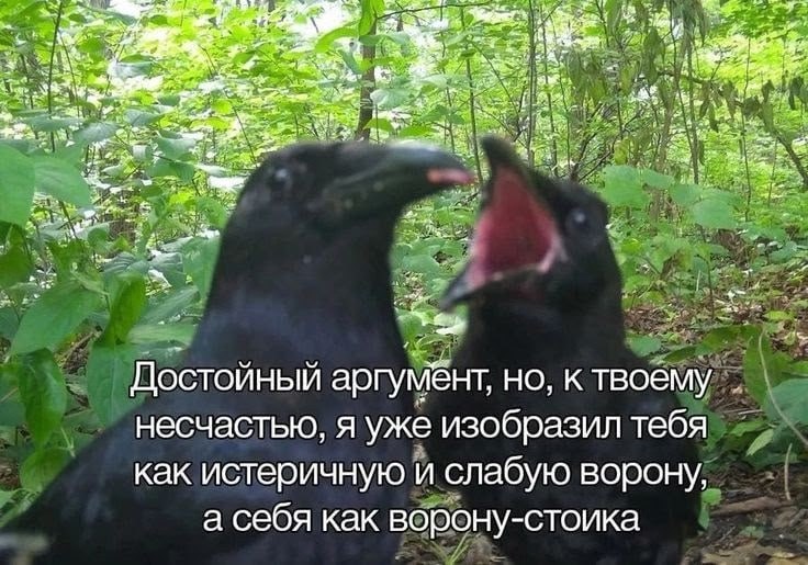 9 зам. a Достойный аргумёнт, но, к твоему несчастью, я уже изобразил тебя как истеричную и слабую ворону, а себя как ворону-стоика