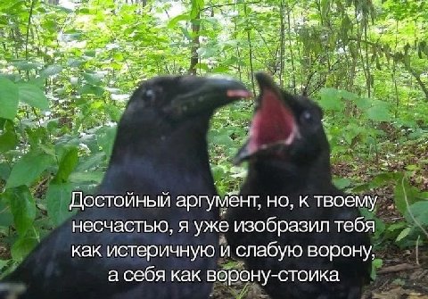 9 зам. a Достойный аргумёнт, но, к твоему несчастью, я уже изобразил тебя как истеричную и слабую ворону, а себя как ворону-стоика