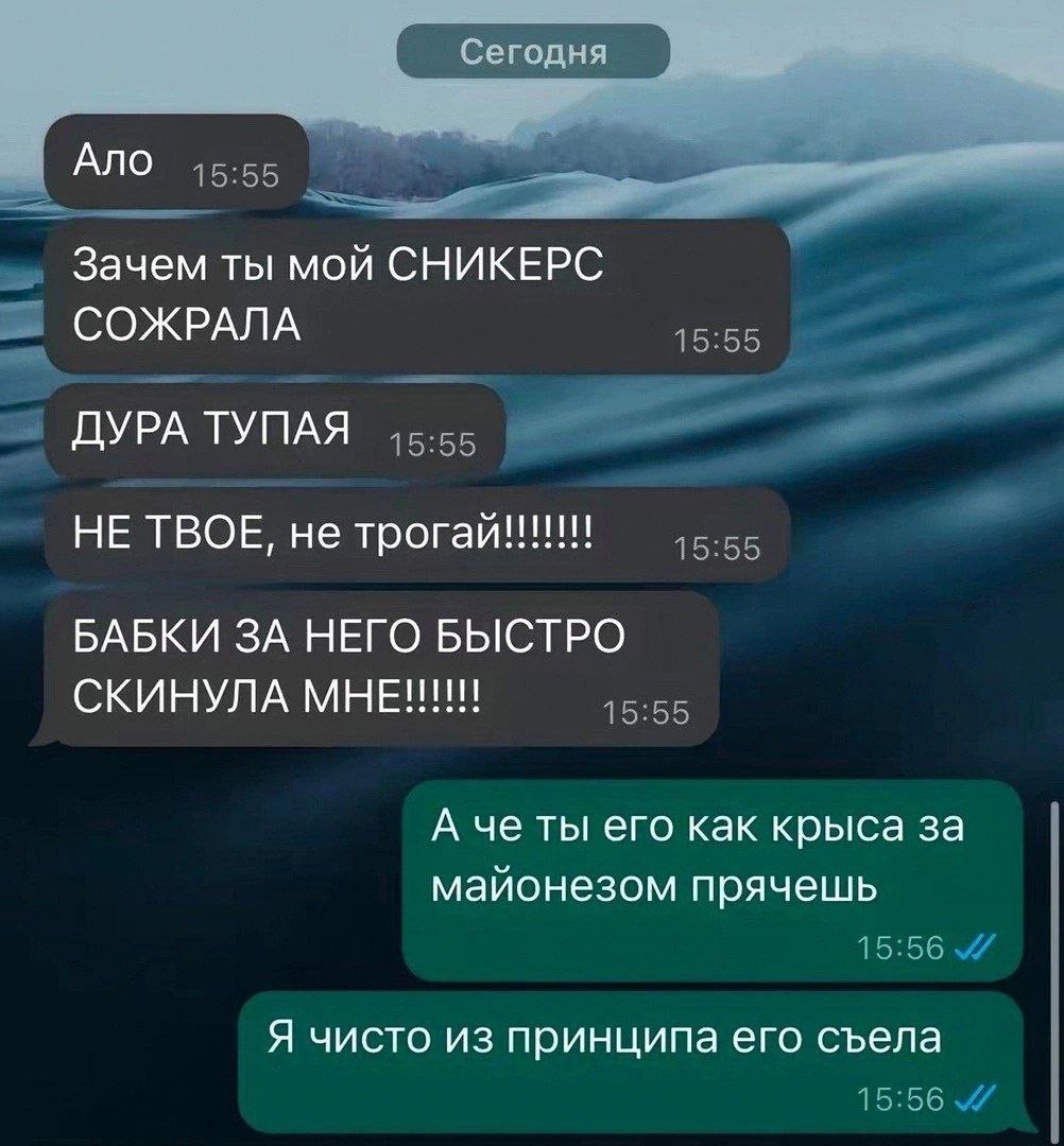 Сегод Ало 5:55 Зачем ты мой СНИКЕРС СОЖРАЛА ДУРА ТУПАЯ НЕ ТВОЕ, не трогай!!! БАБКИ ЗА НЕГО БЫСТРО СКИНУЛА о А че ты его как крыса за майонезом прячешь Я чисто из принципа ero съела
