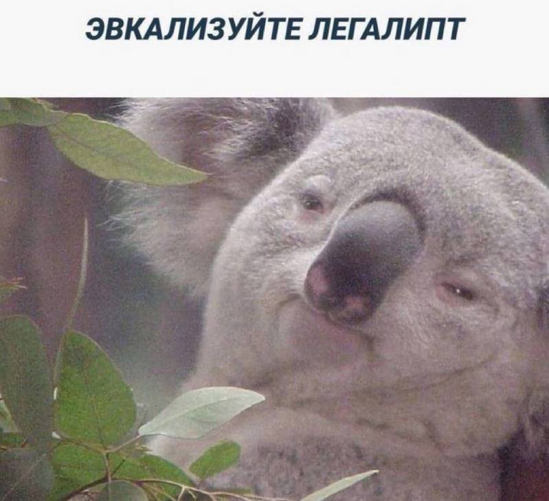 ЭВКАЛИЗУЙТЕ ЛЕГАЛИПТ 3