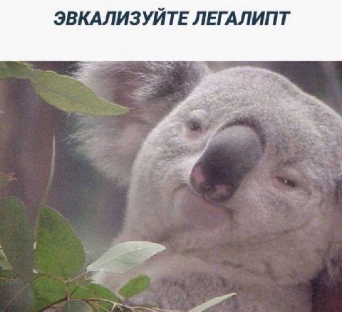 ЭВКАЛИЗУЙТЕ ЛЕГАЛИПТ 3